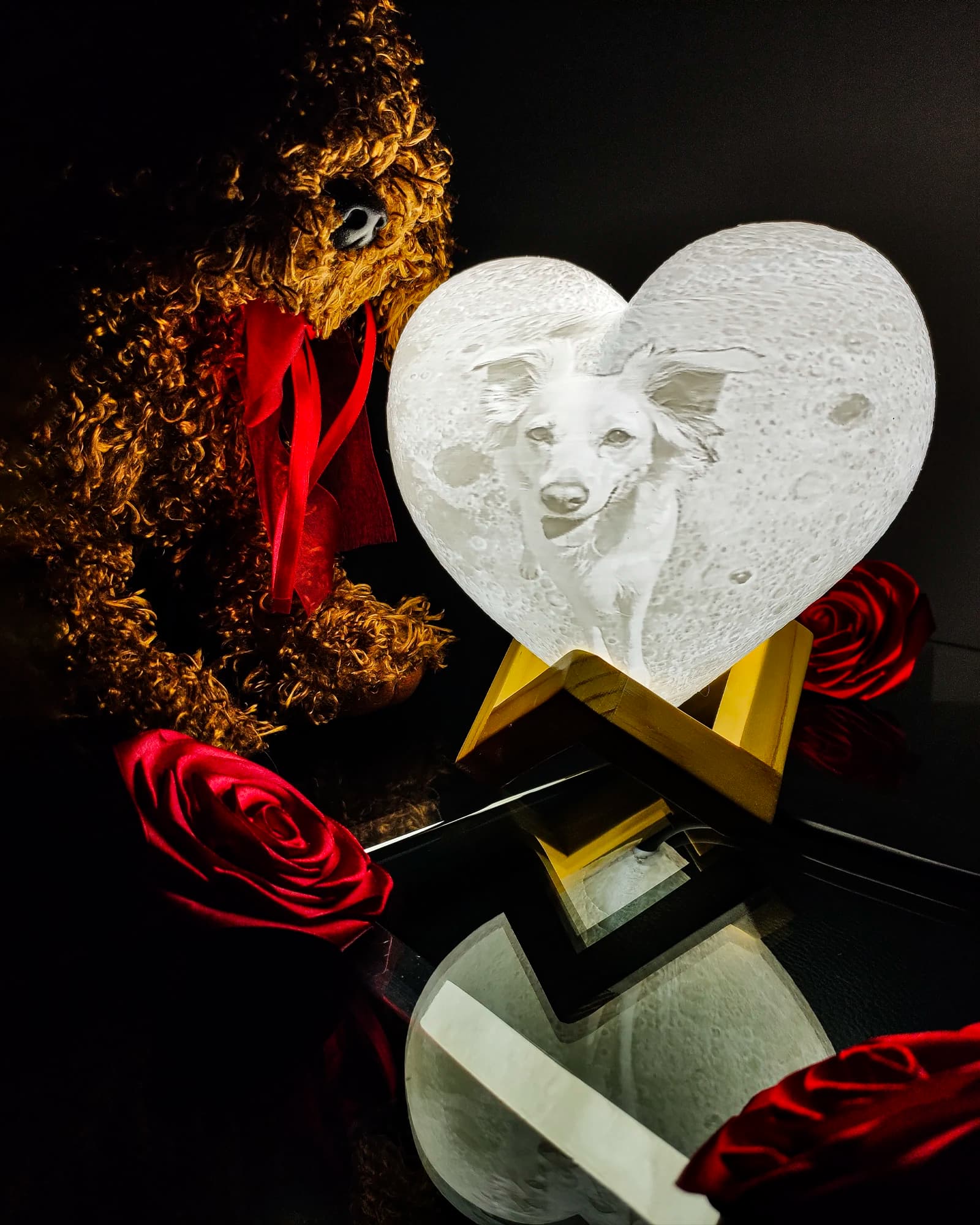 Escena cálida con temática de regalos para mascotas